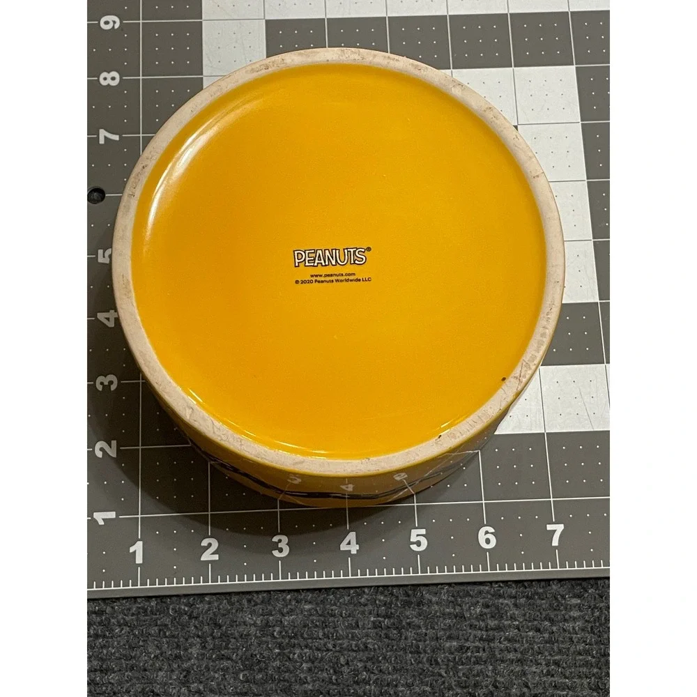Peanuts Charlie Brown Good Grief Yellow Ceramic Pet Bowl Zig Zag Stripe 2020